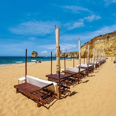 Magnifique 500m De La Avec Piscine Appartement